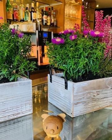 Weinhotel Eltvinum Eltville am Rhein Екстер'єр фото