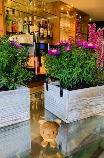 Weinhotel Eltvinum Eltville am Rhein Екстер'єр фото